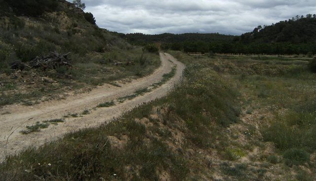 Image 3 of 11,600m2 of open land-ARAGON SPAIN