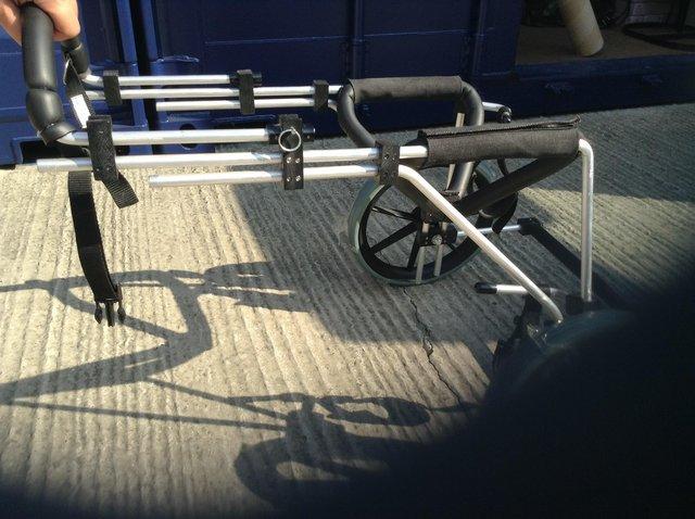 Image 3 of Dog Mobility Cart