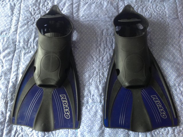 Preview of the first image of Adult Swimming Fins.