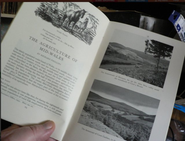Image 6 of Vintage Forestry Commission Guide 1959 "Cambrian Forests"
