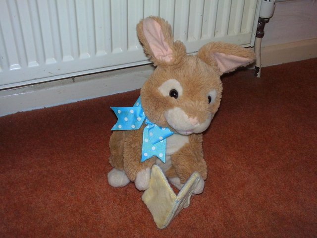 Preview of the first image of Battery powered Peter Rabbit soft toy with book.