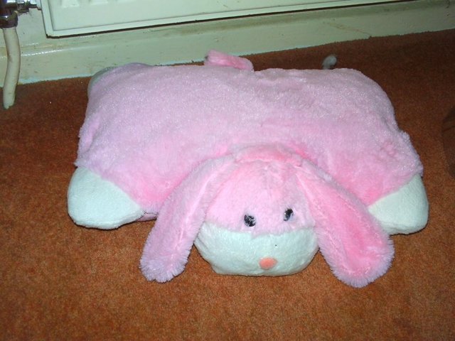 Image 2 of Pillow pets