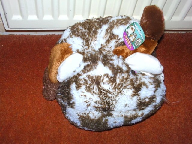 Image 2 of Cuddly fold up Rabbit