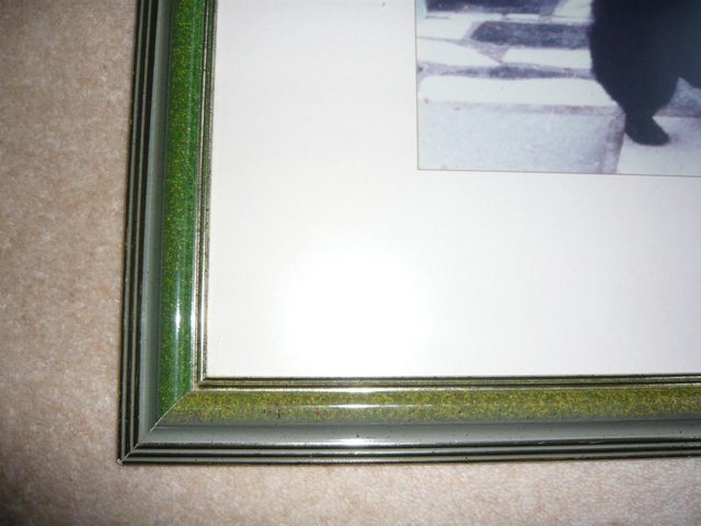 Image 3 of Picture, framed,  of poodle