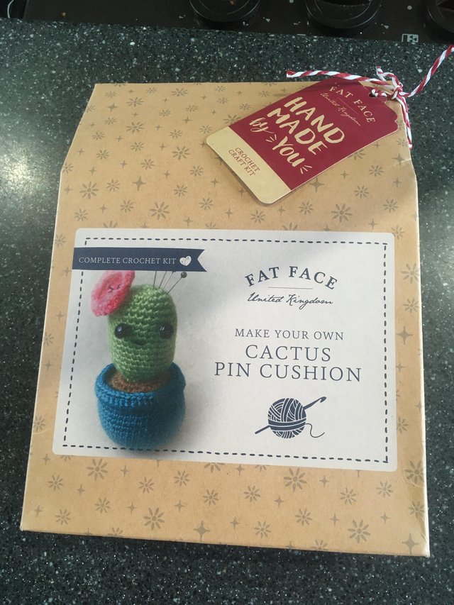 Preview of the first image of Fatface cactus pin cushion kit.