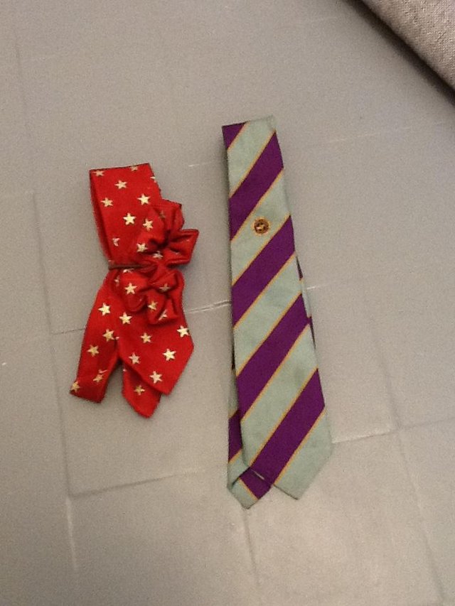 Preview of the first image of Pony club tie and show tie.