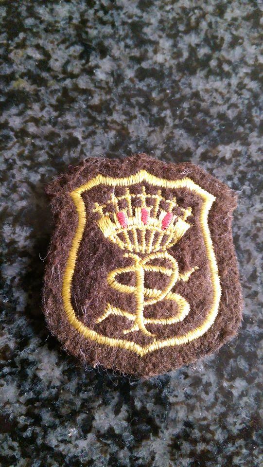 Preview of the first image of Blazer badge.