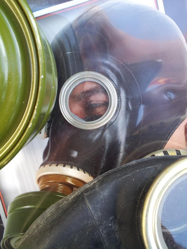 Preview of the first image of German Face or GAS MASK.