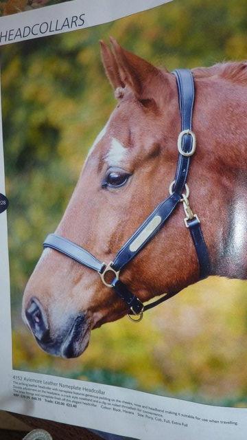 Preview of the first image of New Padded Havanna Leather Headcollar F/S.