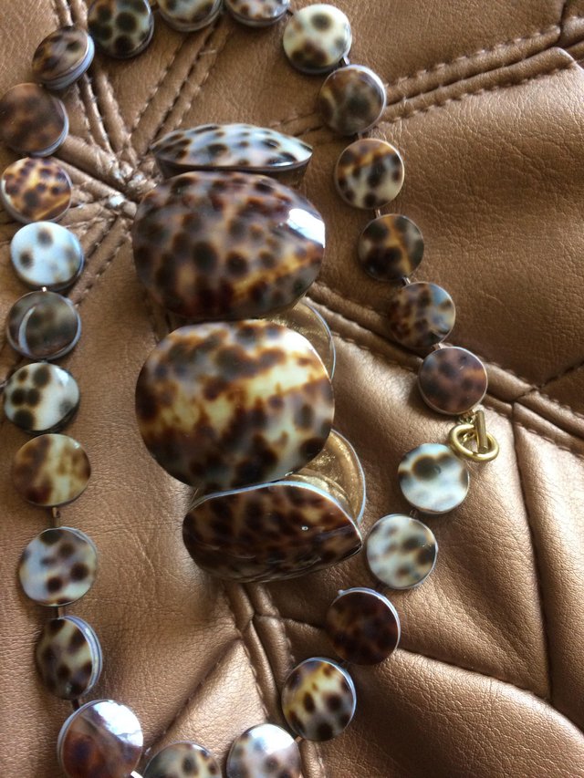 Preview of the first image of Fashionable Animal Print Necklace & Bracelet Set.