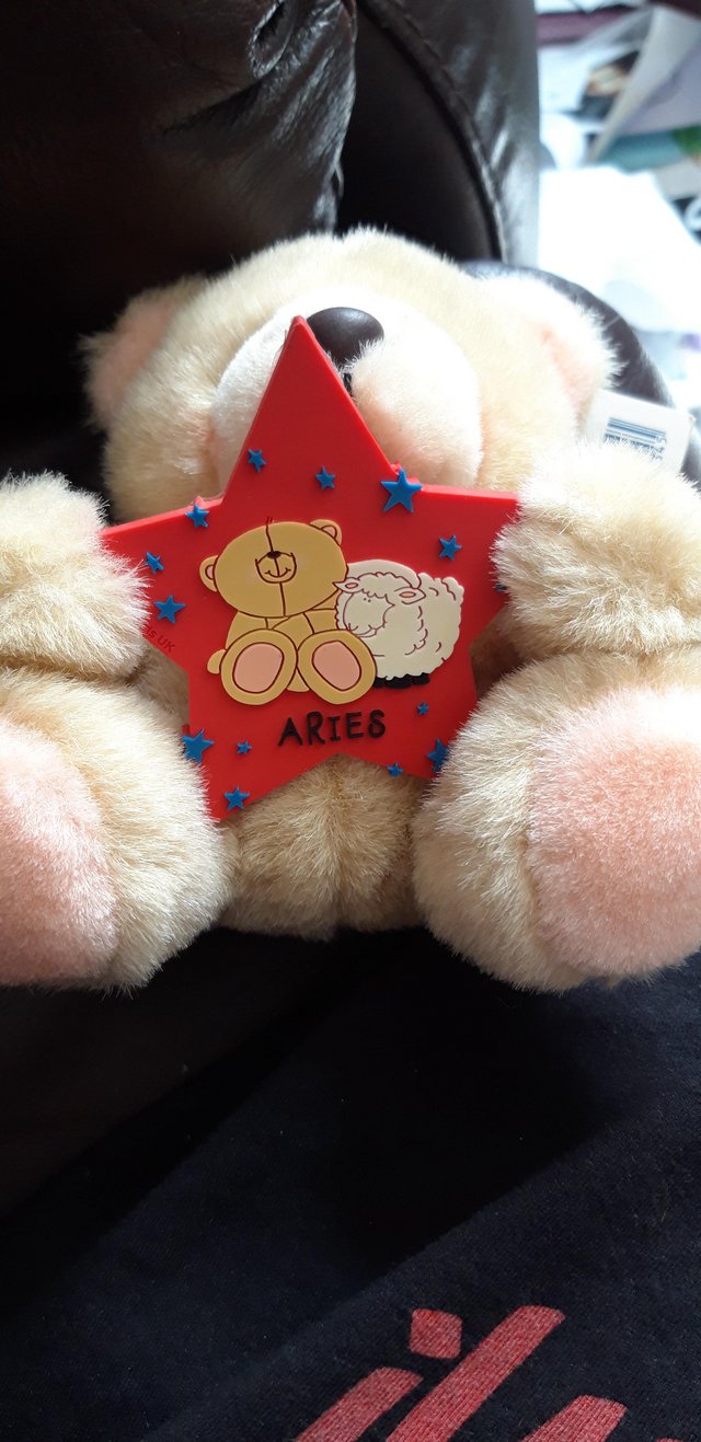 Preview of the first image of Me To You Star Sign Teddy Aries New With Tag.