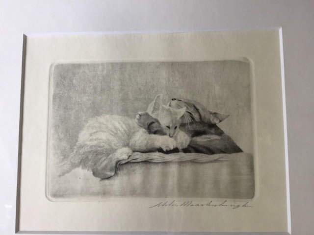 Image 2 of Original Signed Etching of Two Cats by Maarten Langbroek