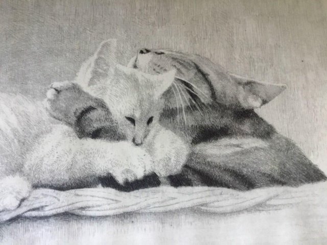 Preview of the first image of Original Signed Etching of Two Cats by Maarten Langbroek.