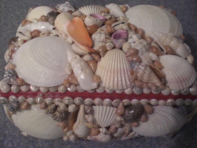 Image 3 of Beautiful natural sea shell new Jewellery box