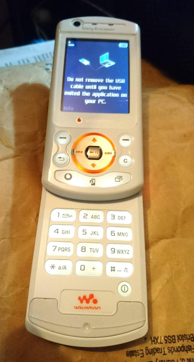 Preview of the first image of Sony Ericsson W900i.