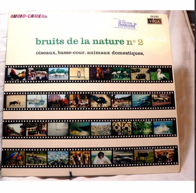 Preview of the first image of Bruits de la nature no 2 Audio Camera (Nature Sound Effects).