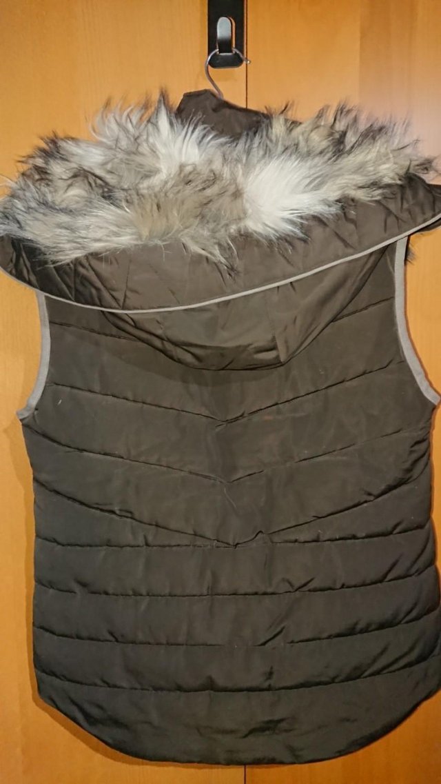 Image 2 of Ladies Equetech Padded Gilet with Detachable Hood Size Small