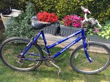 Ladies Raleigh bike - £30