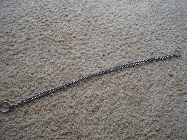 Preview of the first image of NEW CHAIN DOG COLLAR 61 cm approx..