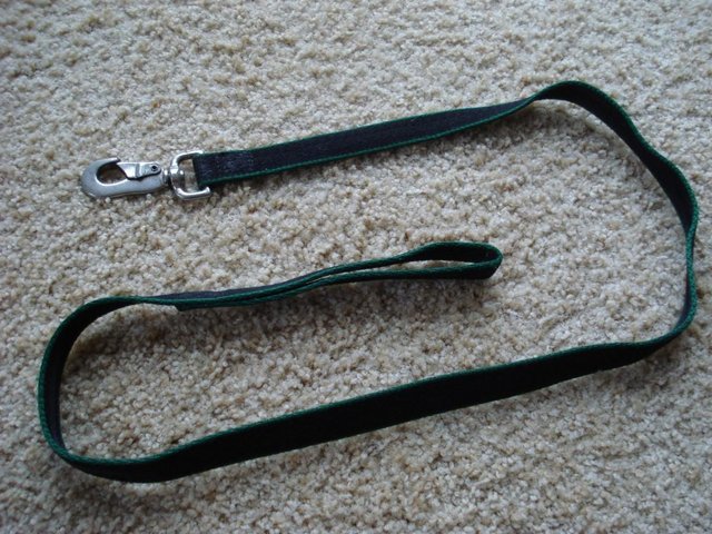 Preview of the first image of DOG LEAD BLACK WITH GREEN EDGING 170 cm approx..