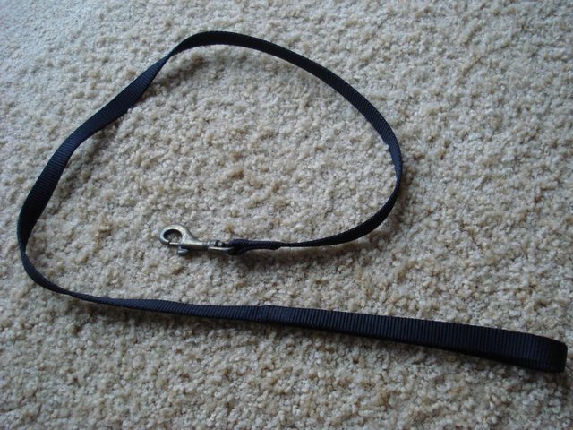 Preview of the first image of BLACK DOG LEAD WITH BRASS CLIP 102 cm approx..