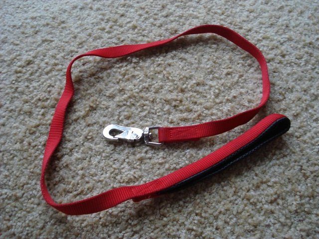 Preview of the first image of RED DOG LEAD WITH CUSHIONED HANDLE 103 cm approx..