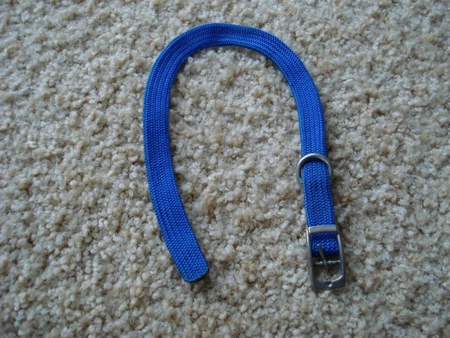 Preview of the first image of BLUE DOG COLLAR 39 cm approx..