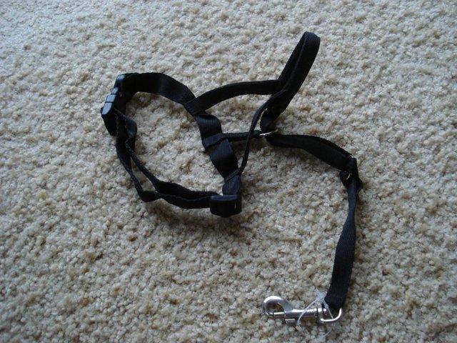 Preview of the first image of NEW BLACK HALTI TYPE DOG BRIDLE HEADCOLLAR ANTIPULL TRAINING.