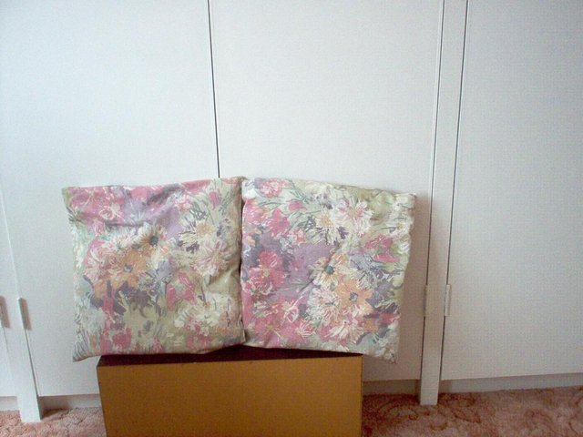 Preview of the first image of Floral Cushions x 2..