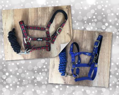 Preview of the first image of (Cob Size) Headcollar + Leadrope Sets.