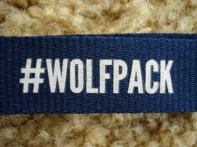 Image 2 of NEW WORCESTER WOLVES BASKETBALL SUPPORTERS CLUB ACCESSORIES