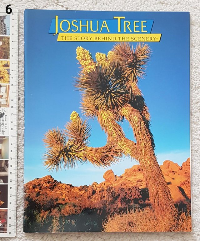 Preview of the first image of Book Joshua Tree - the story behind the scenery.