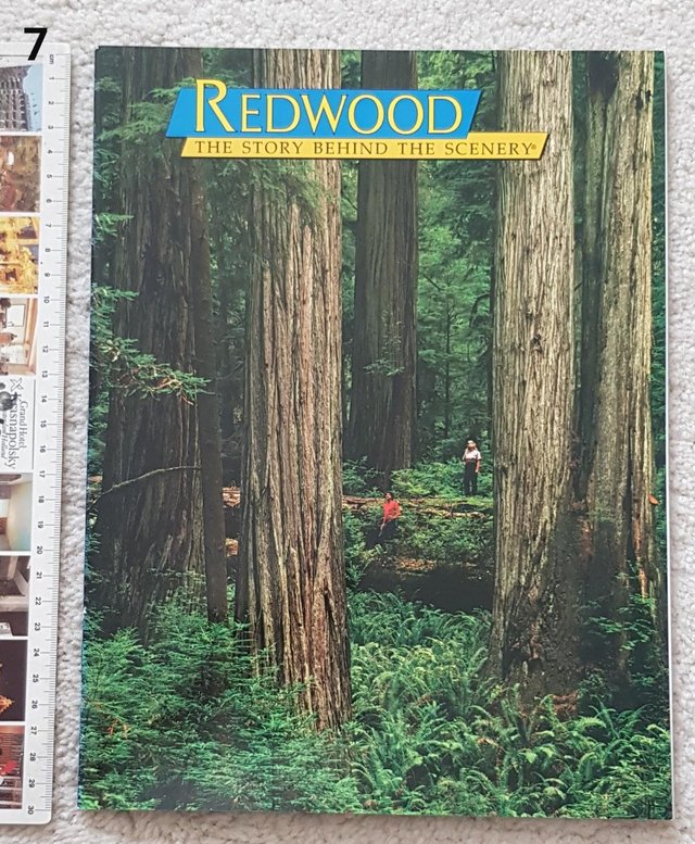 Preview of the first image of Book Redwood - the story behind the scenery.