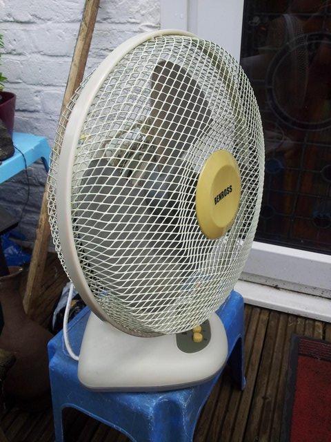 Preview of the first image of Benrosh 12 inch oscilating desk fan.