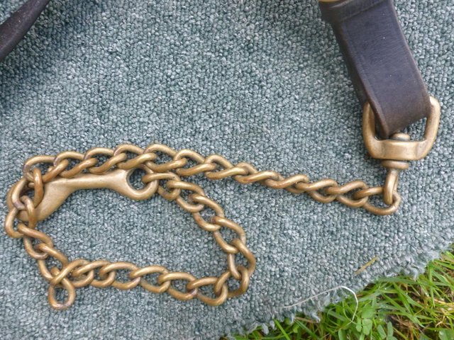 Image 3 of Long Black leather lead with brass chain