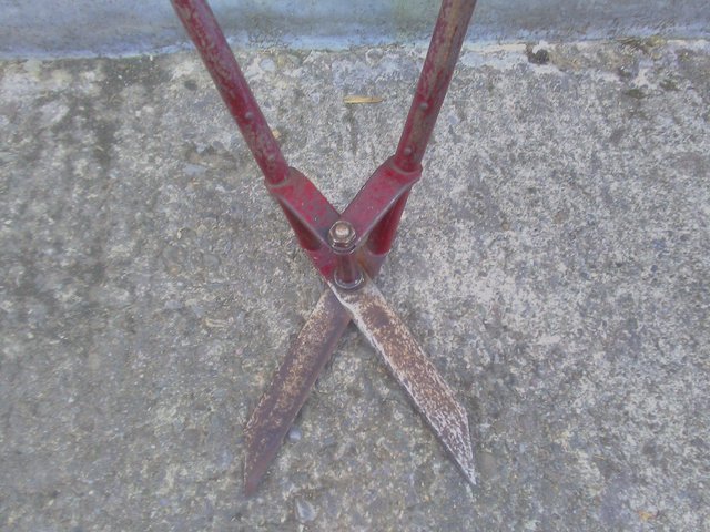 Image 2 of Vintage Garden Shears SPRING IS HERE!!!!