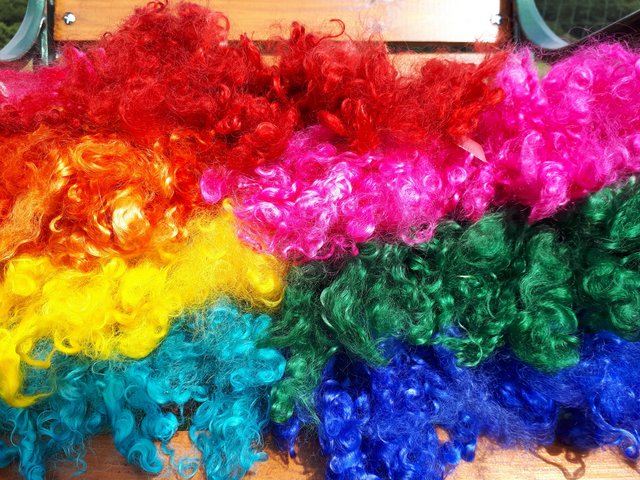 Preview of the first image of Wensleydale curls in vibrant colours.