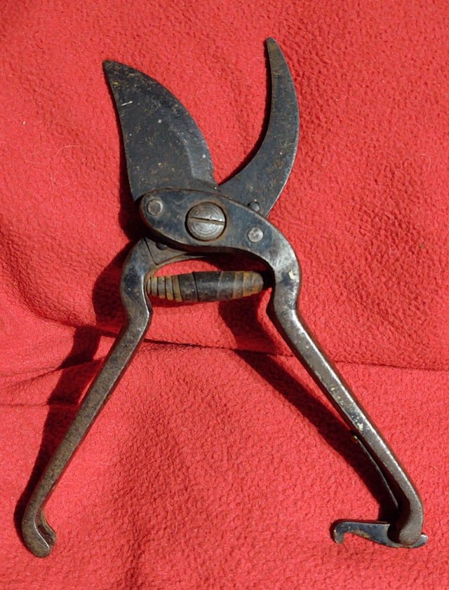 Preview of the first image of Vintage Garden Secateurs/Cutters/Pruners.