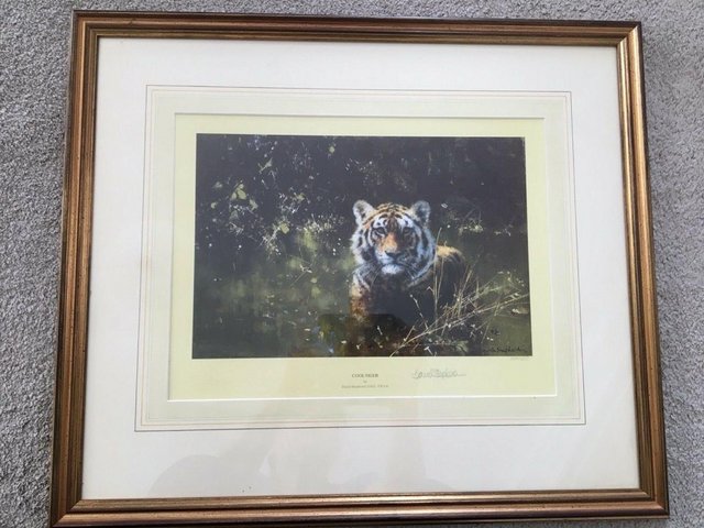 Image 2 of David Shepherd Limited Edition Signed Print 'Cool Tiger"