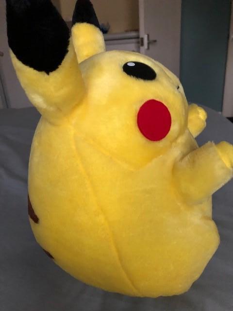 Image 3 of Pokemon Pikachu soft character