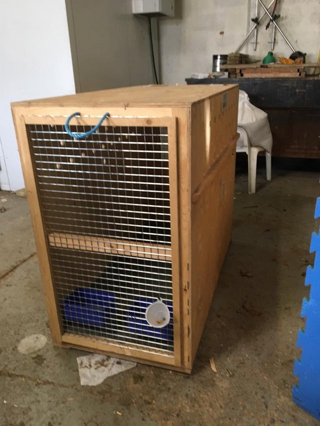 Image 2 of Airline approved large dog flight crates