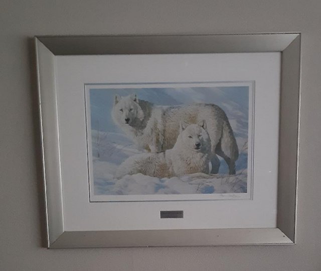 Preview of the first image of "Lords Of The Arctic" Framed Print With Silver Frame.