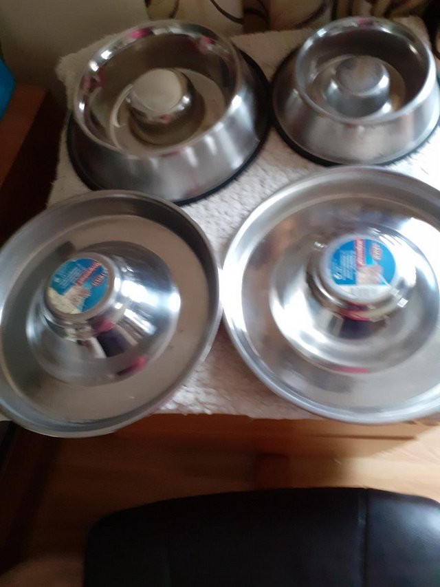 Preview of the first image of DOG BOWLS................. ....