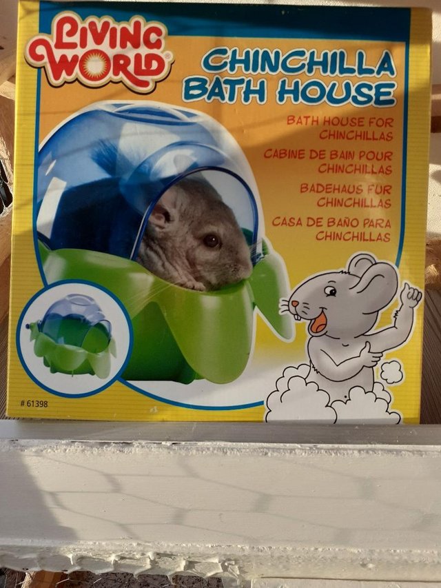 Preview of the first image of CHINCHILLA BATH FOR SALE...........
