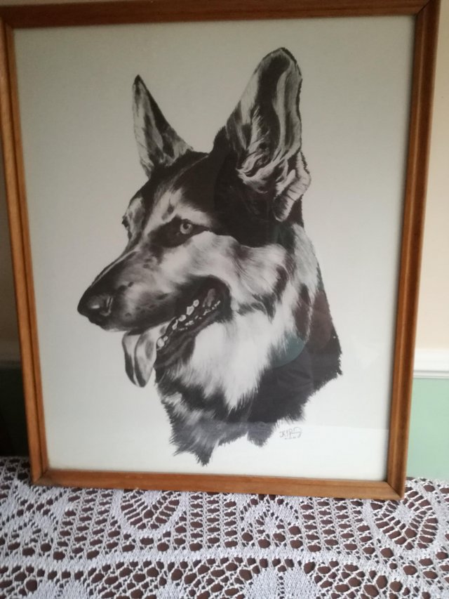 Preview of the first image of Alsatian framed print.