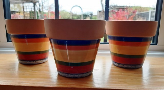 Image 2 of COLOURFUL PLANT POT SET ideal for window sill
