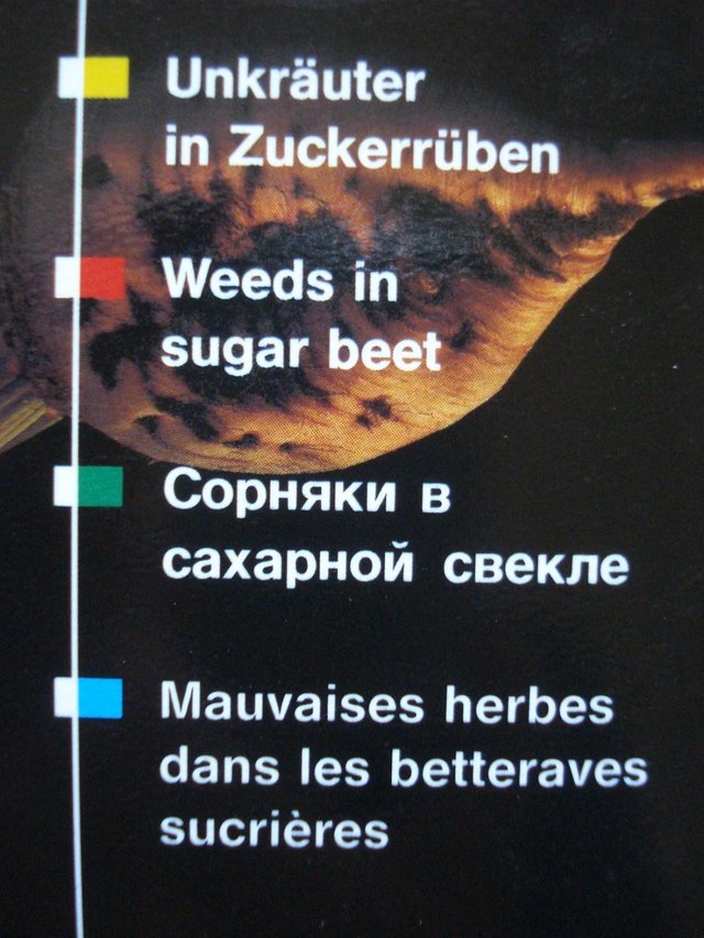 Image 3 of NEW WEEDS IN SUGAR BEET REFERENCE GUIDE BOOK BY BETANAL