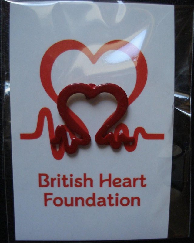 Preview of the first image of NEW SOUVENIR CHARITY LAPEL BADGE / TIE PIN from B.H.F..