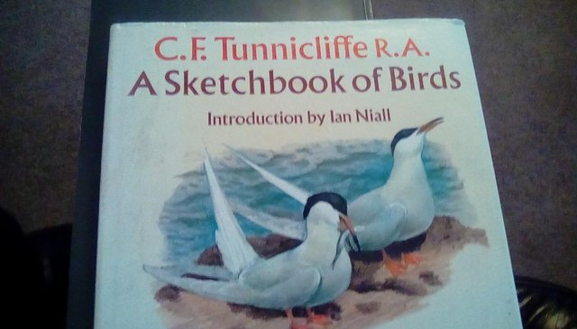 Image 2 of a sketch book of birds