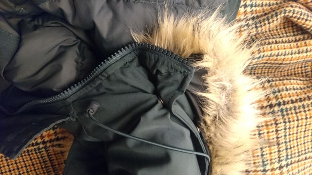 Image 6 of Superdry Premium Down Coat (Parka Style)